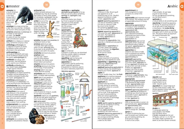 Usborne Illustrated Dictionary IR