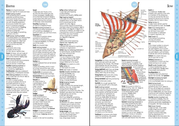 Usborne Illustrated Dictionary IR