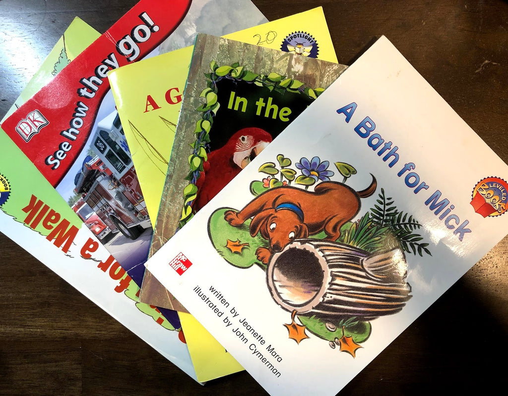 Beginning Reader Book Lot 1