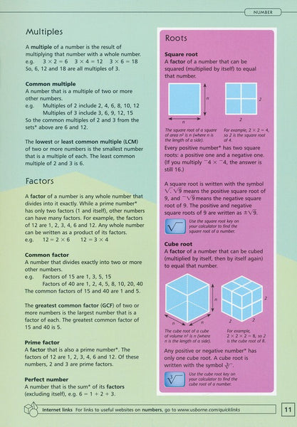 Usborne Illustrated Dictionary of Math IR